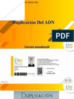 Duplicacion Del Adn