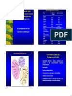 A Microbiota Do Solo