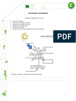 Fotosíntesis: proceso, conceptos y esquema