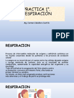 Respiración