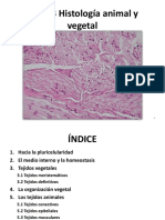 Tema 3-Histología Animal y Vegetal