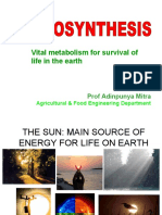 Vital Metabolism For Survival of Life in The Earth: Prof Adinpunya Mitra