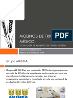 Molinos de Trigo México