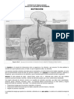 NUTRICION_2019