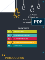 Pompe A Membrane