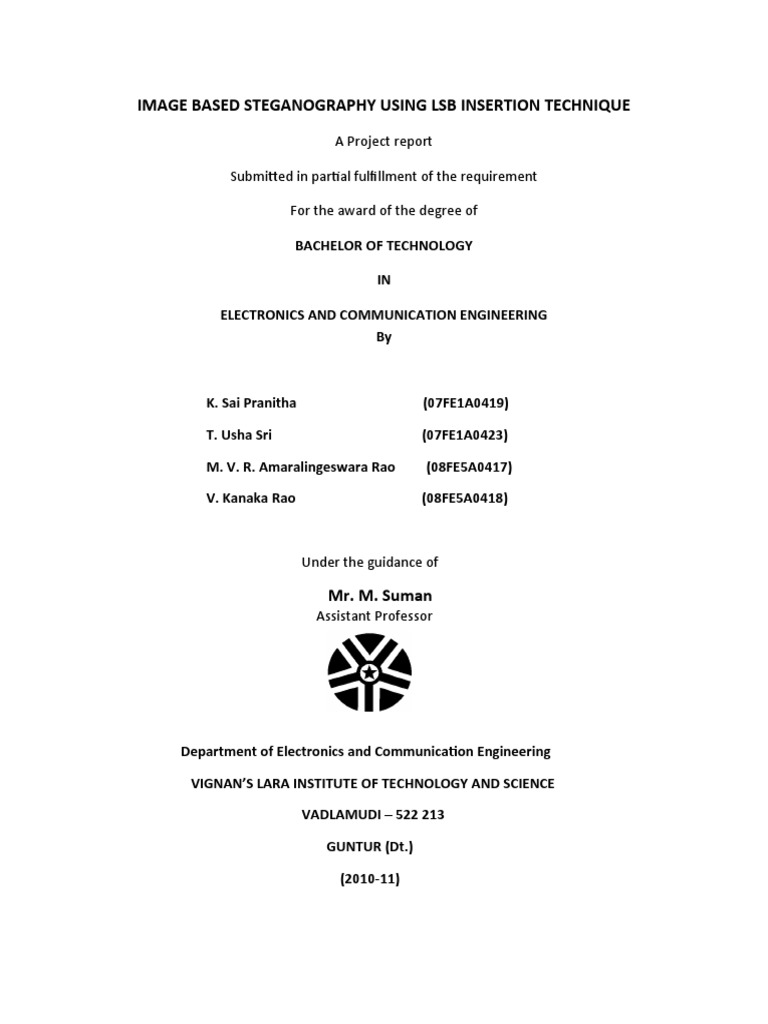 Statistics final project paper image