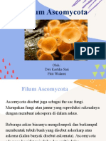 Filum Ascomycota