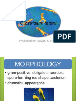 Clostridium Tetani: Prepared by Joevani S. Peñol