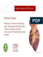 Modulo 2 - Hipertrofia y Dilatacion