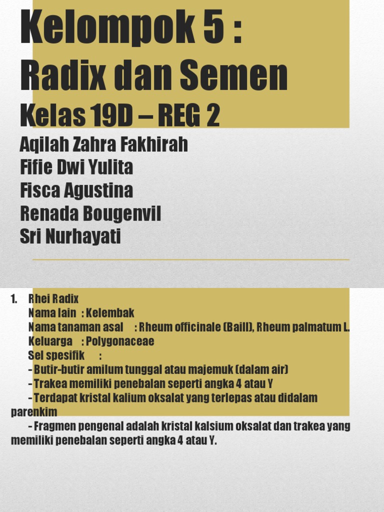 Radix | PDF