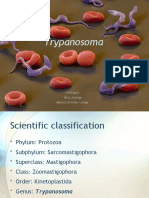 Trypanosoma: Krithiga.B M.SC - Zoology Madras Christian College