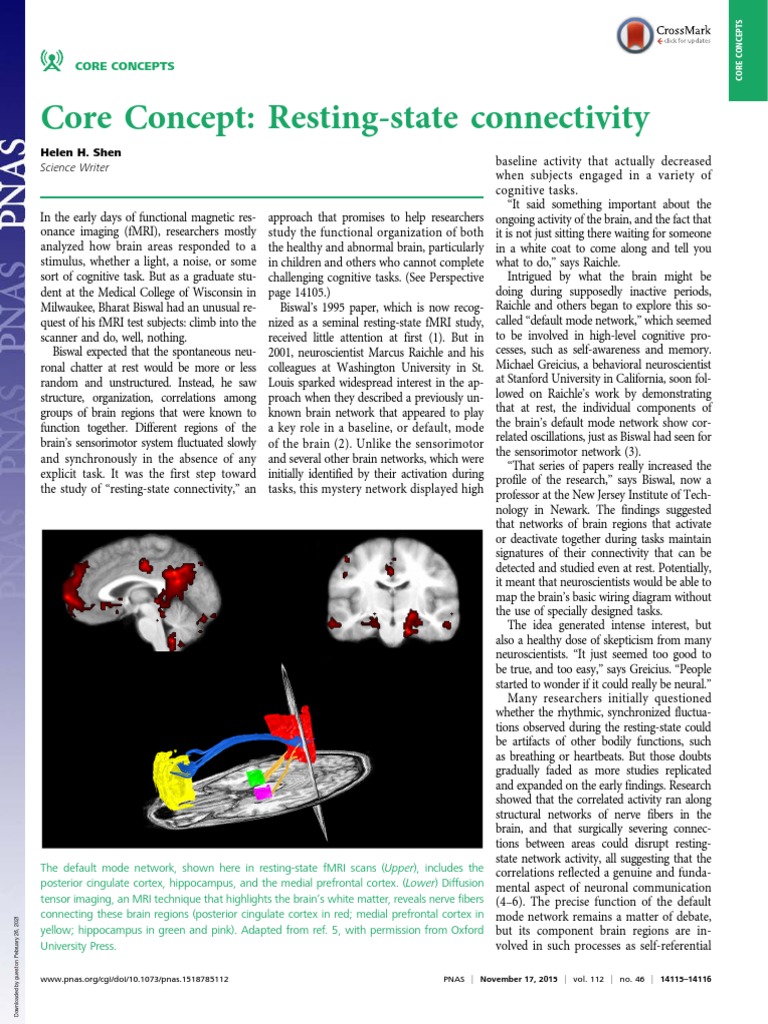 Understanding Resting-State Connectivity | PDF | Functional Magnetic ...