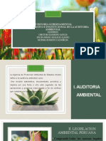 AUDITORIA AMBIENTAL 1