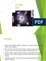 Gabungan Materi Biosel