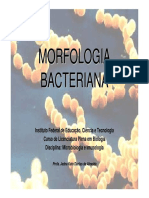 08 30 28 05 Morfologiabacteriana