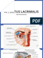 Anatomi Lacrimal