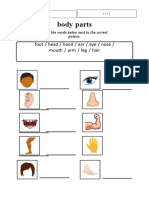 Body Parts