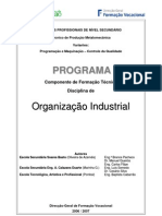 Organizacao Industrial