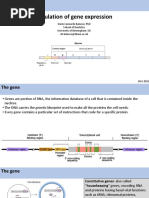 2 Regulation Gene Expression Balacco