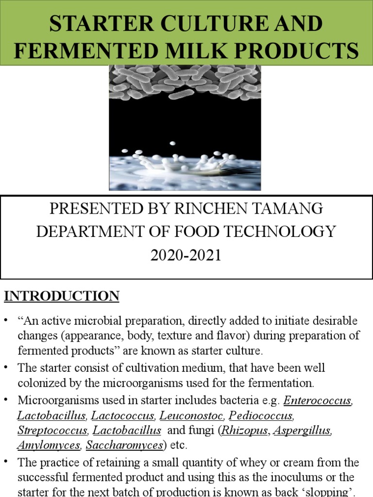 Starter Culture and Fermented Milk Products PDF Yogurt Dairy Products