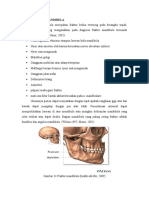 Fraktur Mandibula