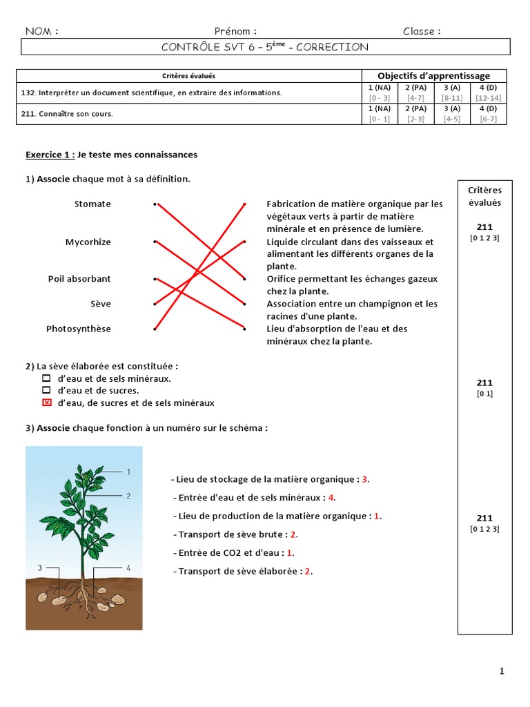 Exercice 5eme Svt Nutrition Des Vegetaux Pdf