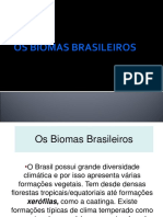 Biomas brasileiros em