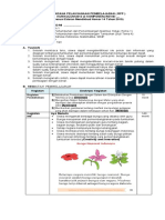 3.1.4.3 - RPP Revisi Terbaru - Katulis - Com