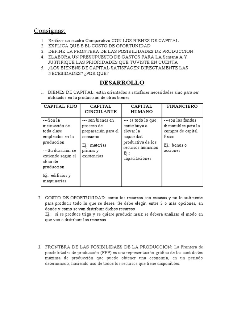 Trabajo Practico n2 Economia | PDF | Capital (economía) | Bienes
