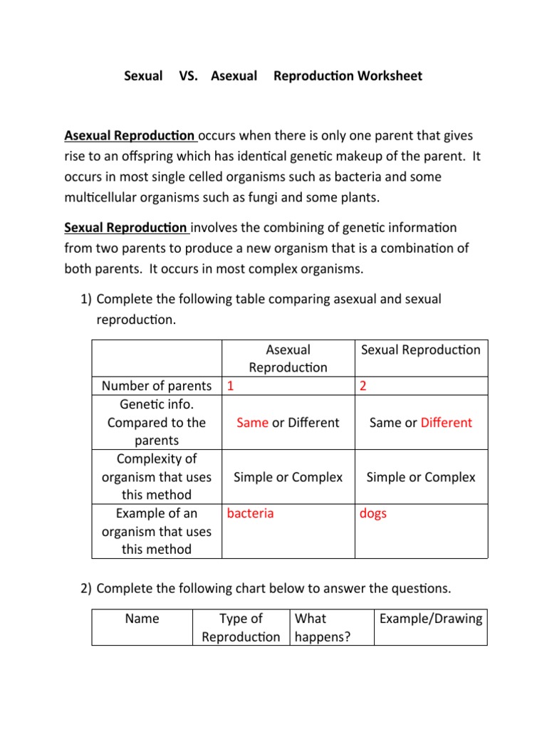 Sexual Vs Asexual Reproduction Worksheet 1 PDF Sexual Reproduction