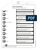 Actividad Sistema reproductor