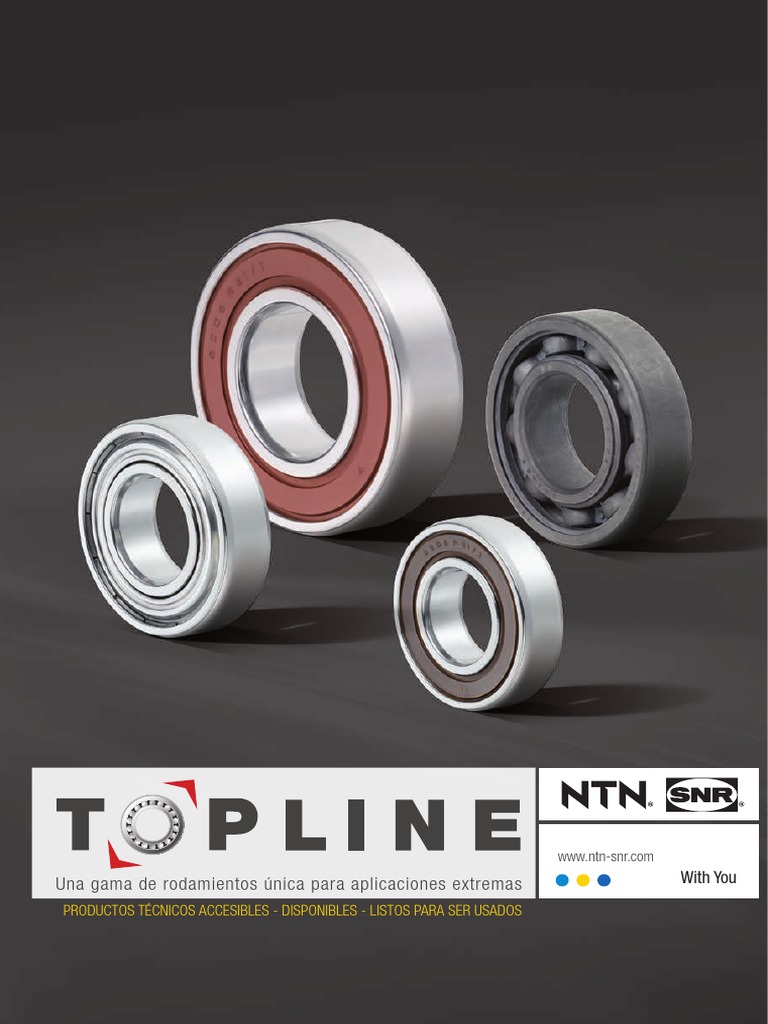 Topline Range Es PDF Lubricante Acero