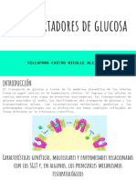 Transportadores de Glucosa