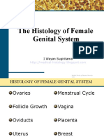 The Histology of Female Genital System: I Wayan Sugiritama