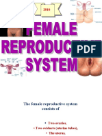 7 Histology of The Female Reproductive S