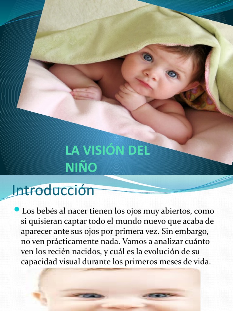 Desarrollo Visual en Bebés de 0 a 6 Años | PDF | Percepción visual | Ojo