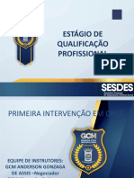 Primeira Intervenção em Crise Atualização 2020