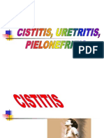 Cistitis, Uretritis y Pielonefritis