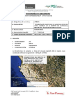 Informe Del Psi.