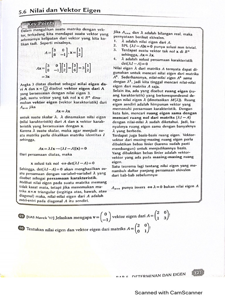 Mathco Nilai Eigen | PDF