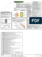 CB1 - Key Concepts in Biology (Paper 1 and 2)