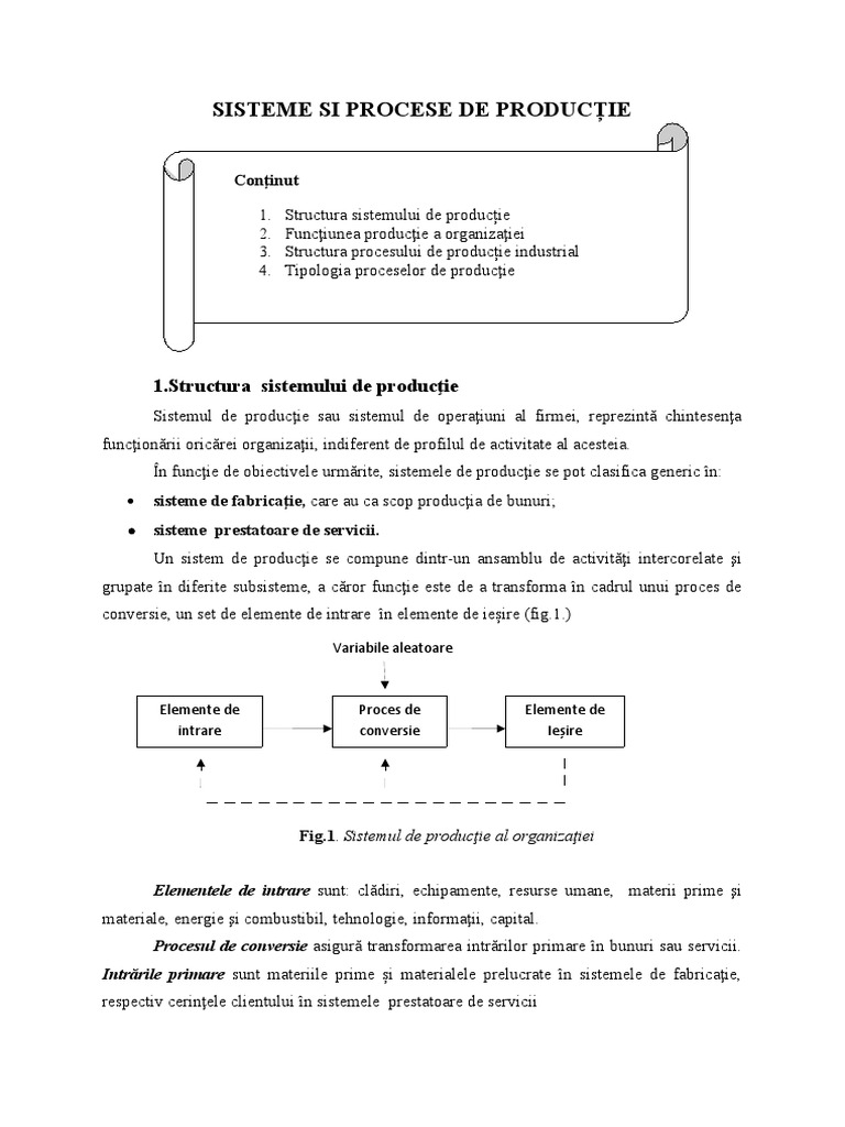 Curs 1. Sisteme Si Procese de Productie | PDF