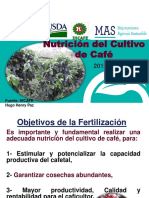 Nutricion de Cafe