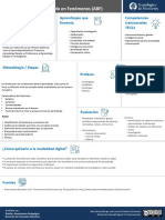 Formato Definicion y Caracteristicas ABF
