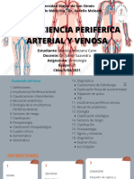 Insuficiencia Periferica Arterial y Venosa