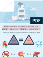 Remodelación Del Metabolito en Los Estados de Ayuno VS Estados Alimentados 2