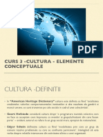 Curs 3 Comportament Organizational - Cultura Elemente Conceptuale