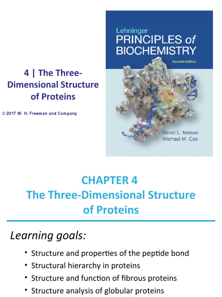 4 - The Three-Dimensional Structure of Proteins: © 2017 W. H. Freeman ...