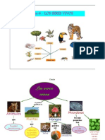 TEMA 5.- LOS SERES VIVOS