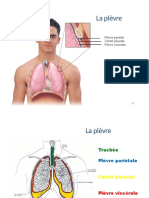 Sys.respiratoire partie 2